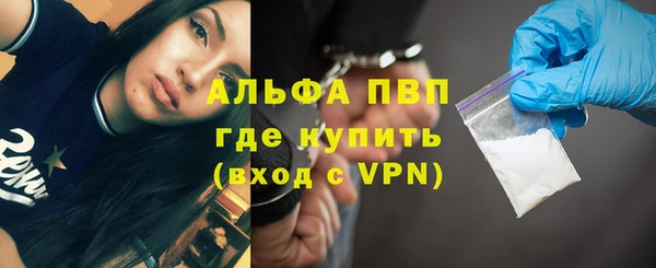 стаф Михайловск