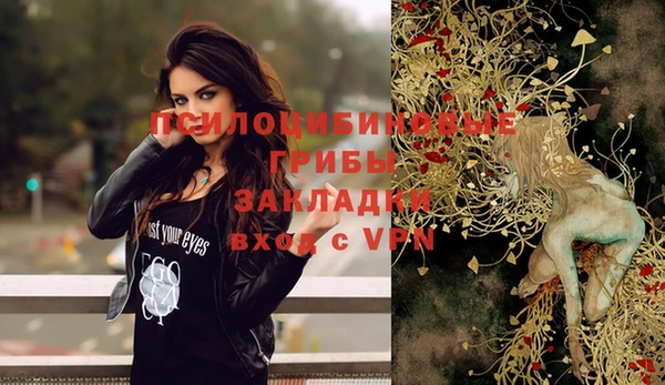 стаф Михайловск